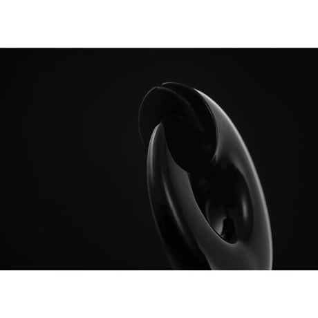 nautilus paper-knife