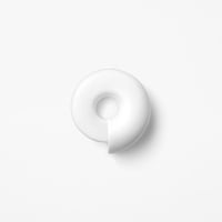 nautilus paper-knife