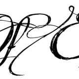 LEX Official Merchandise Store