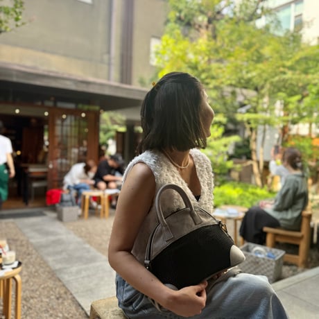 mesh  BAG