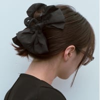 big crisp ribbon clip