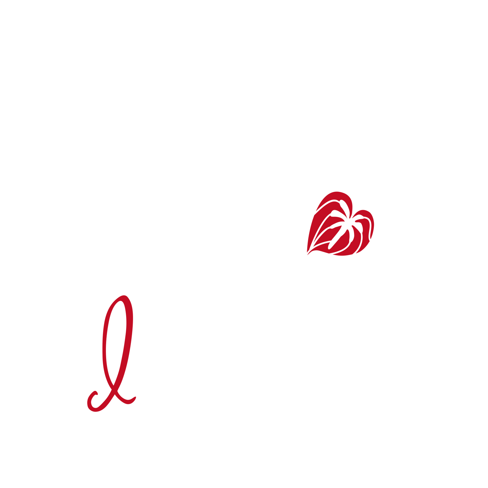 Island  Mall  @miyakojima