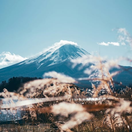 【PARKS PROJECT】Mt.FUJI Tee No.1 BLACK