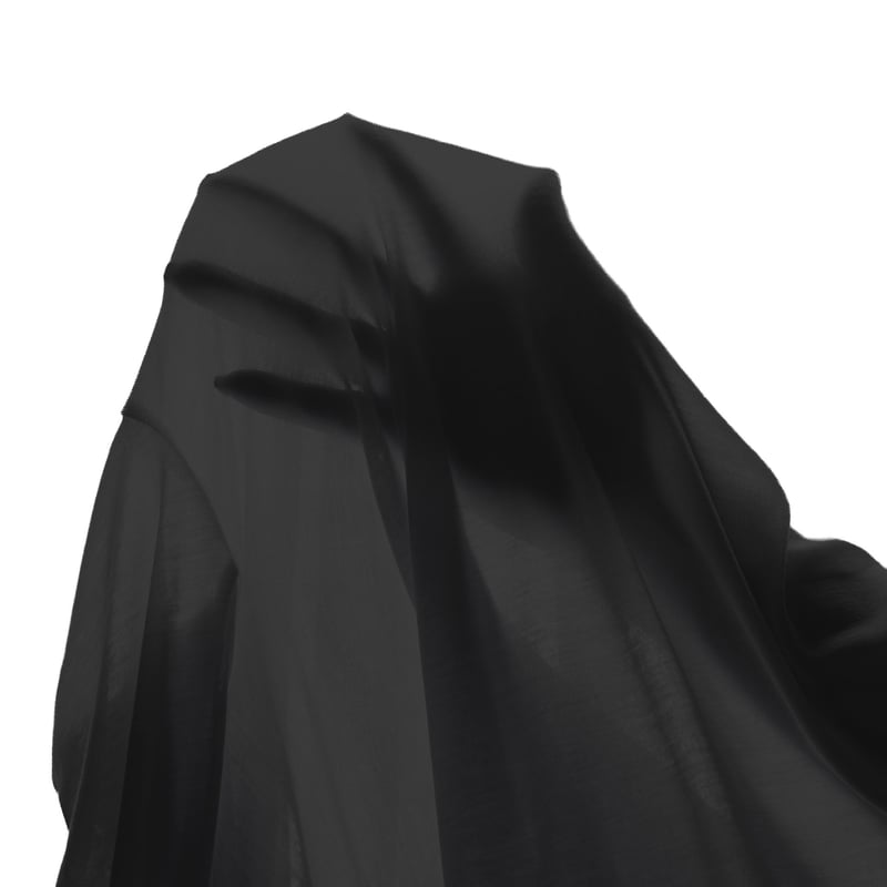 SILK-VEIL BOAT-NECK【BLACK】Size M-L | lesbutte