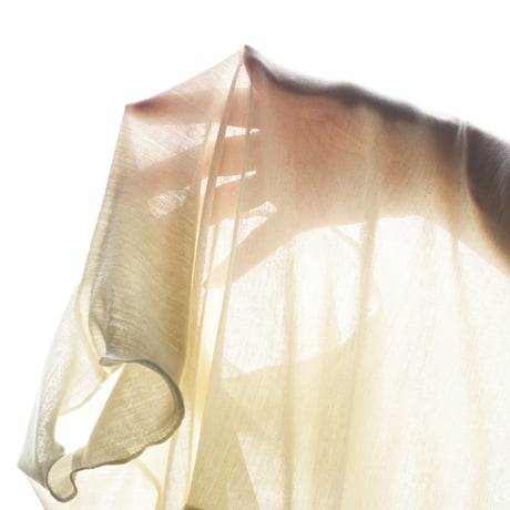 SILK-VEIL BOAT-NECK【IVORY】Size M-L