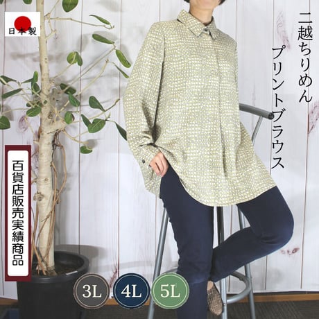 Decorous Japan