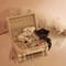 Misaki Original Jewelry Box(White×Beige)