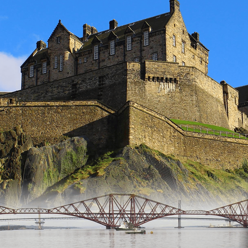 ティーリーフ　５００〜８００枚 リーフティー ハイランドブレンド | OYAMAオンラインショッピング