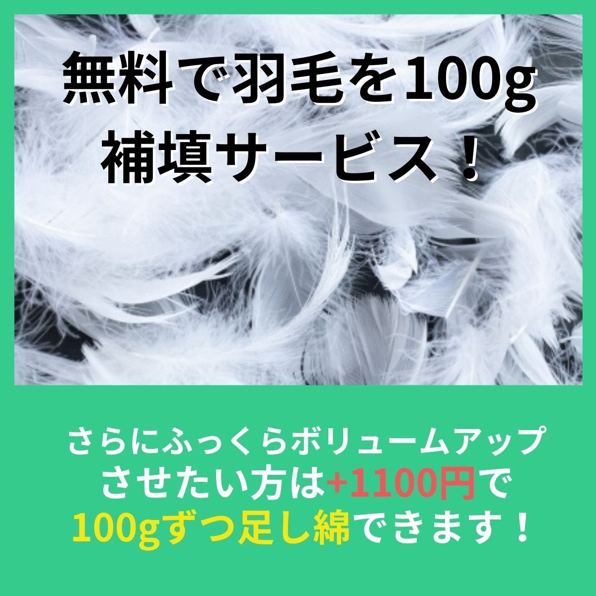 羽毛布団リフォーム【シングルSIZE ➡ ダブルSIZE】 | 羽毛布団の宅配