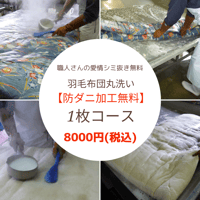 ※保管無し※羽毛布団クリーニング【1枚コース】