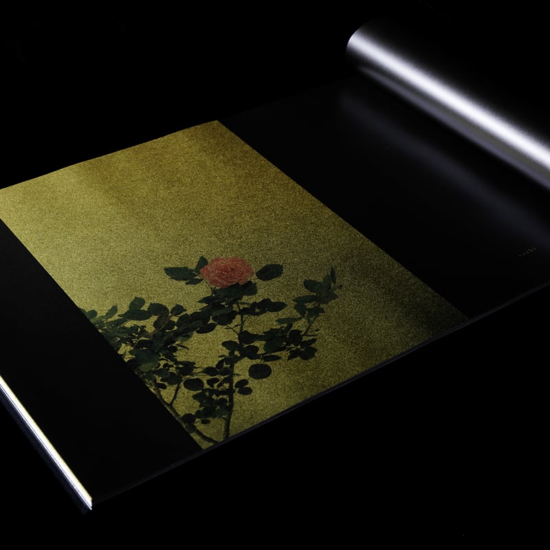 Dimensions 織作峰子写真集 サイン付き DIMENSIONS | 織作 峰子 |本 | 通販 | Amazon