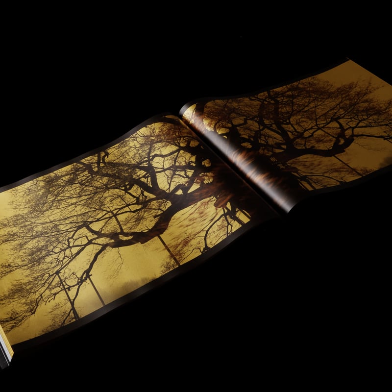 光韻 -kouin-〈特装本〉』織作峰子 ／ MINEKO ORISAKU -KOUIN-