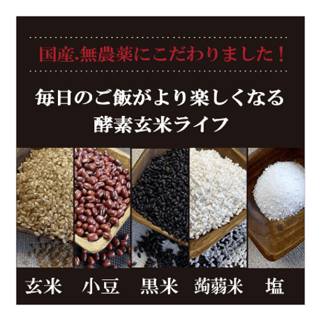 【定期購入 隔月お届け】酵素玄米 真空パック 冷凍 150g×10食分 送料無料 減農薬 ヘルシー 国産