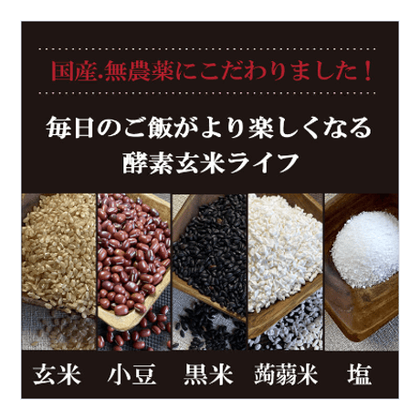【定期購入 隔月お届け 離島の方用 】酵素玄米 真空パック 冷凍 150g×30食分 送料無料 減農薬 ヘルシー 国産