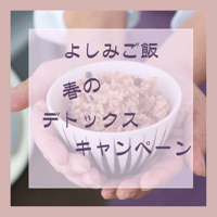 デトックスキャンペーン酵素玄米 真空パック 冷凍 150g 20食分→今だけ24食 送料無料 無農薬 ダイエット ヘルシー 国産
