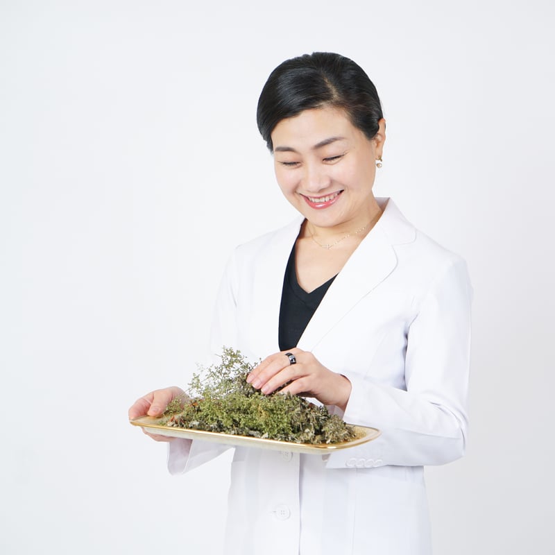 ハイパーよもぎ（カワラヨモギ） | HANBI STORE よもぎ蒸しと