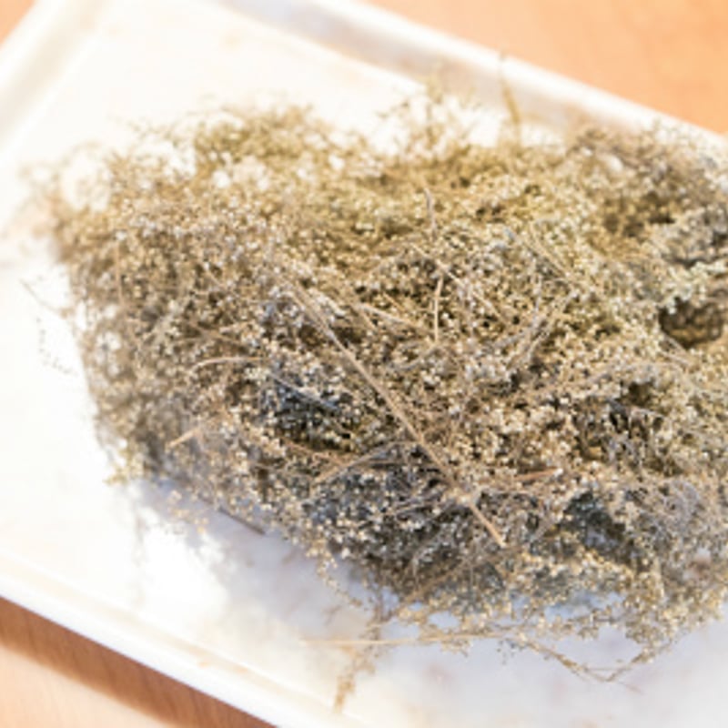 ハイパーよもぎ（カワラヨモギ） | HANBI STORE よもぎ蒸しと