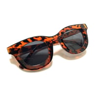 SUNGLASSES BOSTON