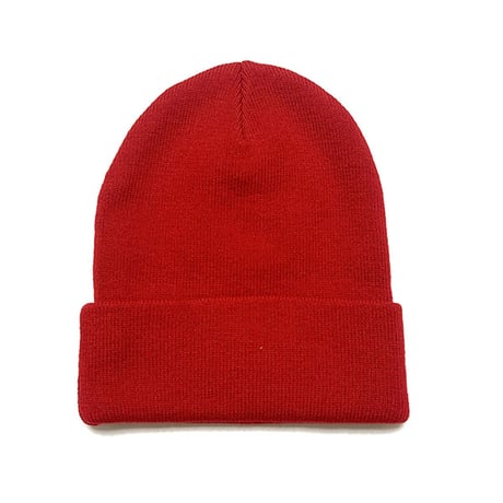 TRUE RELIGION CONCERT PATCH BEANIE