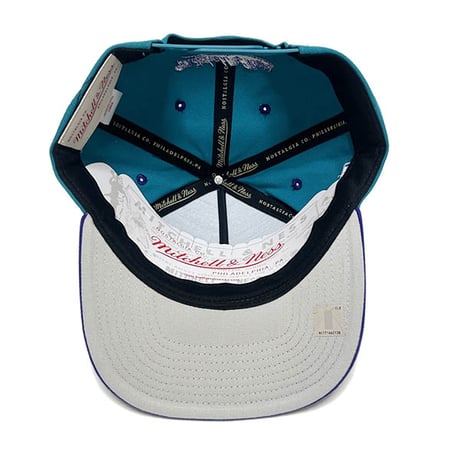 MITCHELL&NESSPI PRO CROWN HORNETS