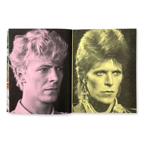 "Bowie" - Lee Noble