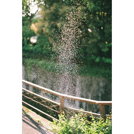 gallery commune - commune Press Online Shop gallery commune - commune Press Online Shop