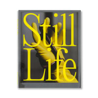 Same Paper presents "Still Life" [Charles Negre Cover]