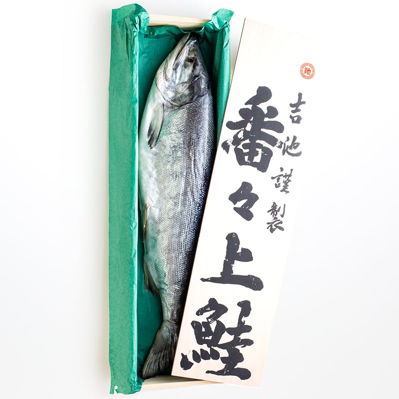 北海道別海自社工場特製】吉池プレミアム／吉池謹製 番々上鮭 ／ 丸1 