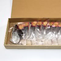 北海道別海自社工場特製】 時鮭（時知らず）＜ロシア産＞／ 半身