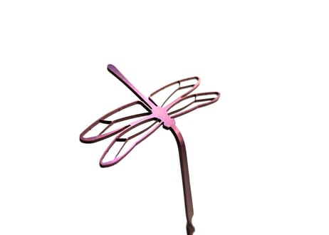 新発売！パープルマドラー（トンボ）縁起の良い昆虫ですね!!