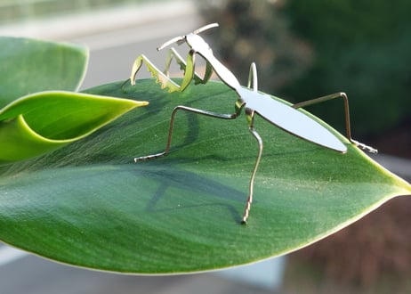 カマキリミニフィギュア
