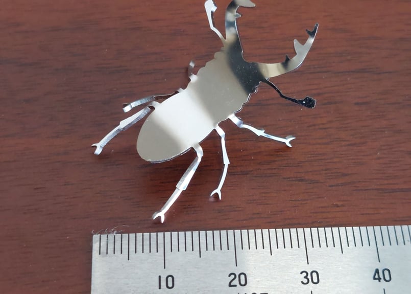 クワガタのフィギュアです大きさは、5cm位です 510NhpVVlSL