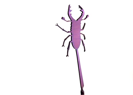 新発売！パープルマドラー（クワガタ）モチーフはノコギリクワガタです!!