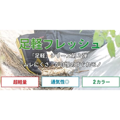 足軽フレッシュ