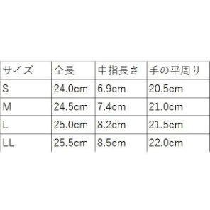 ビニスターサンデー G付き | 新和 商店