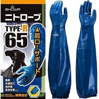 ニトローブ65 タイプR