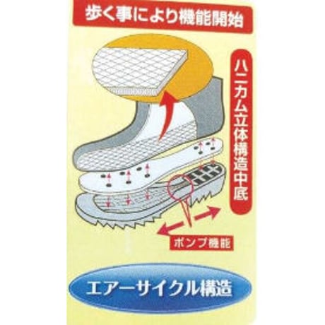 ドライテクノ 並底