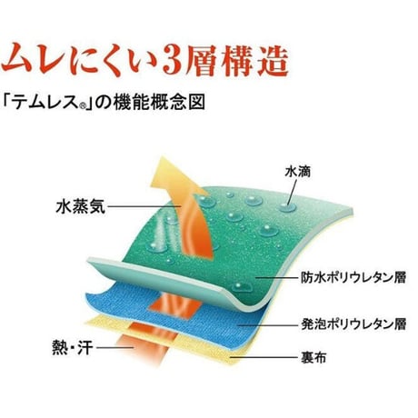 テムレス