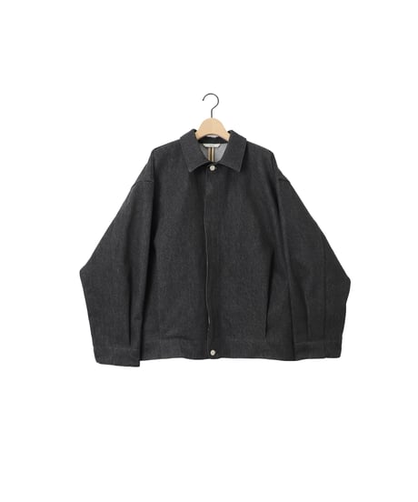 Pre-wash DENIM pleats blouson / amn-BL-020 / Black