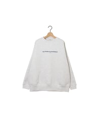 " A. A. M " crew / amn-CS-069 / Ash
