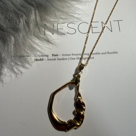 HOOP necklace