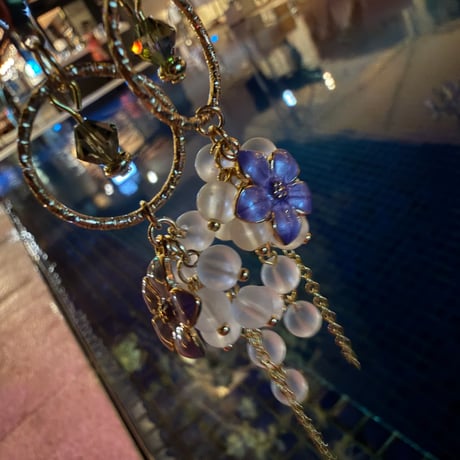夜のハイビスカス🌺
