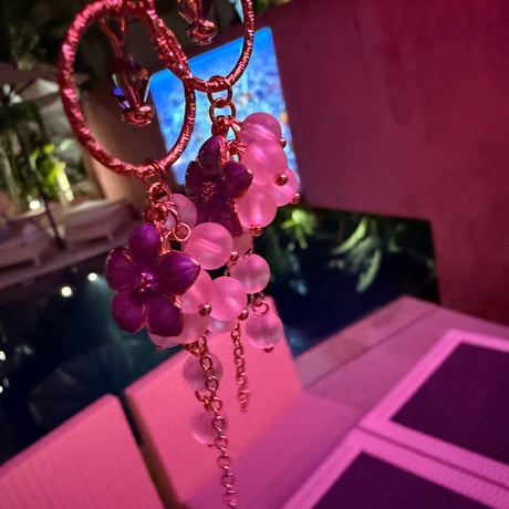 夜のハイビスカス🌺