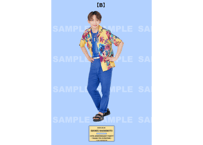 橋本祥平 グッズまとめ売り 橋本祥平 10th ANNIVERSARY PARTY」チェキ風カードセット | CASTSHOP