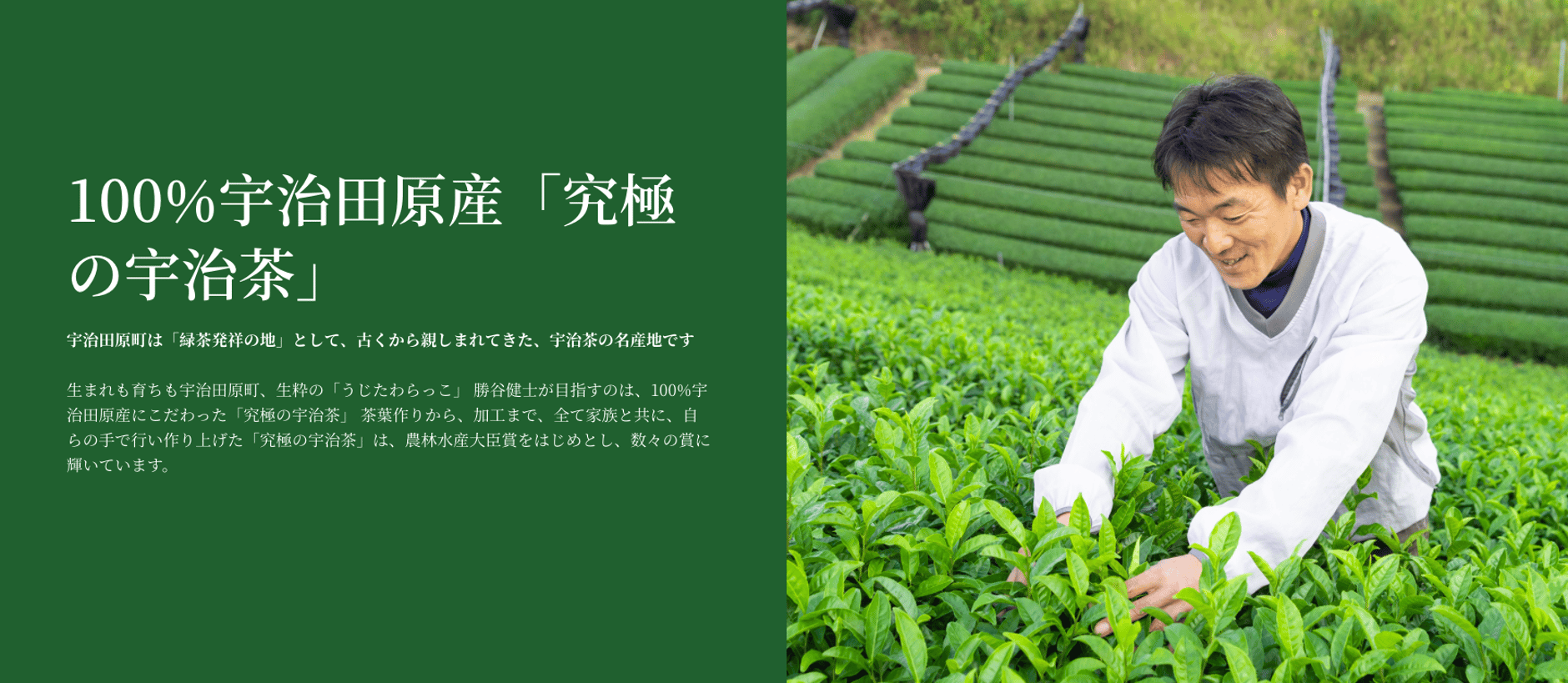 勝茶庵 公式ネットショップ 勝茶庵 公式ネットショップ