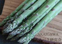 【グリーン2L～3L】朝採りアスパラ800g（400g×2袋）/ 赤井川村アスパラ研究会