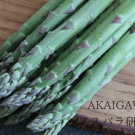 【グリーン2L～3L】朝採りアスパラ800g（400g×2袋）/ 赤井川村アスパラ研究会