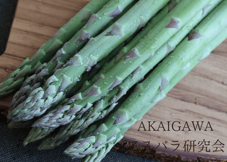 【グリーン2L～3L】朝採りアスパラ800g（400g×2袋）/ 赤井川村アスパラ研究会