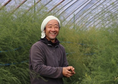 【グリーン2L～3L】朝採りアスパラ800g（400g×2袋）/ 赤井川村アスパラ研究会