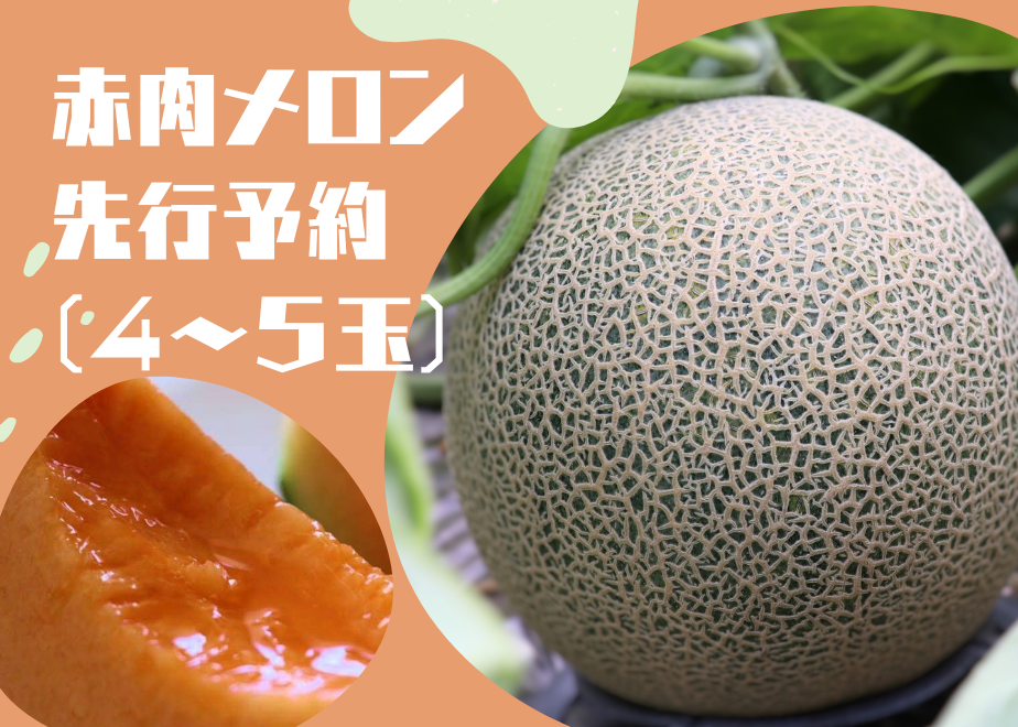 60a6449750a48a694b84e42f